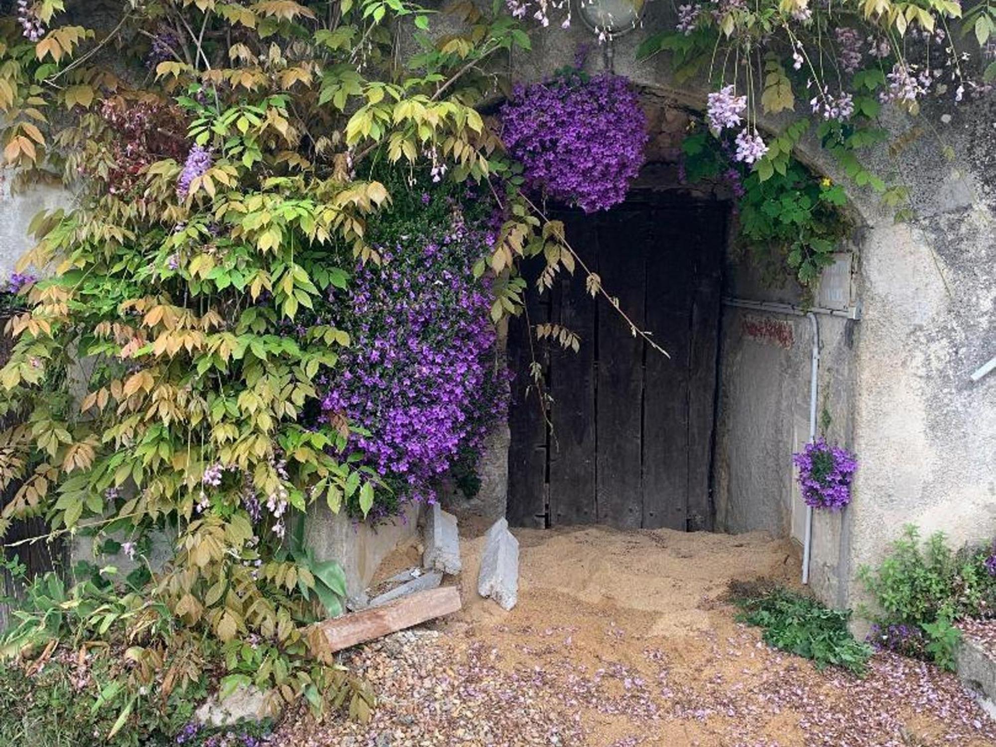 Gite Tout Confort Avec Grand Jardin, Terrasse Ombragee, Animaux Acceptes, Proche De Loches - Fr-1-381-560 Villa Ferriere-Larcon Exterior foto