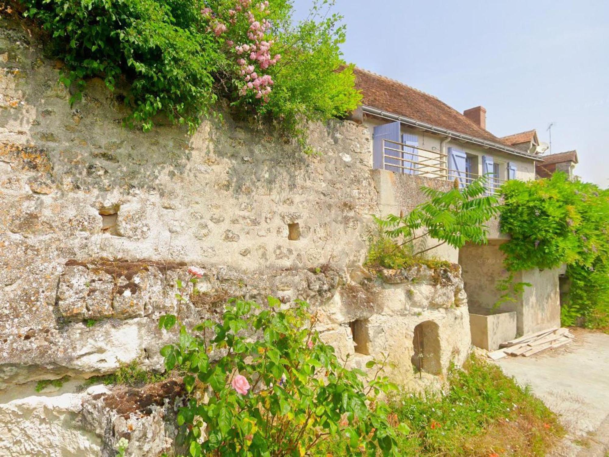 Gite Tout Confort Avec Grand Jardin, Terrasse Ombragee, Animaux Acceptes, Proche De Loches - Fr-1-381-560 Villa Ferriere-Larcon Exterior foto